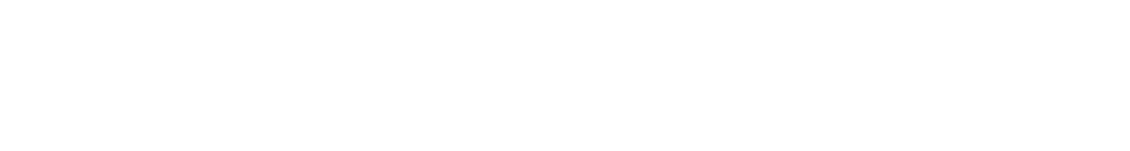 Ferrito Auto
